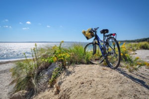biking along the Shining Sea Bikeway in Cape Cod